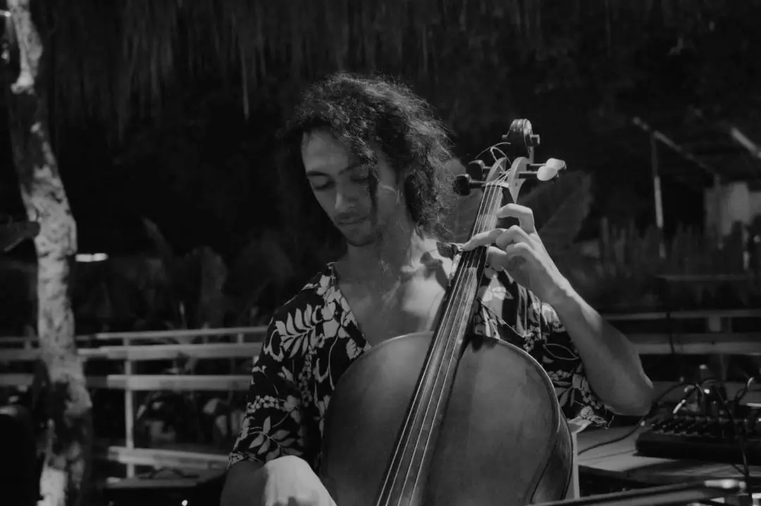 Violonchelo en vivo