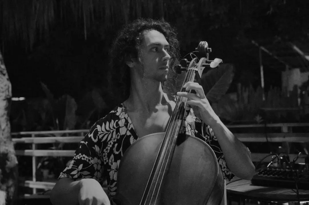 Violonchelo en vivo